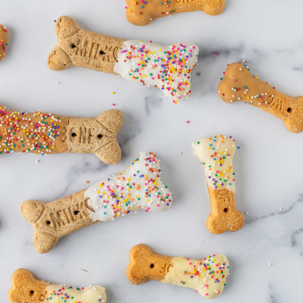 Winfield's small decorated dog-bone biscuits scattered across marble