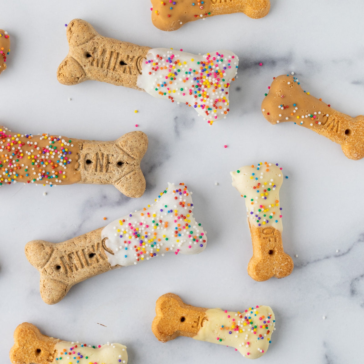 Winfield's small decorated dog-bone biscuits scattered across marble